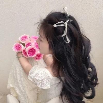 叛谍风暴